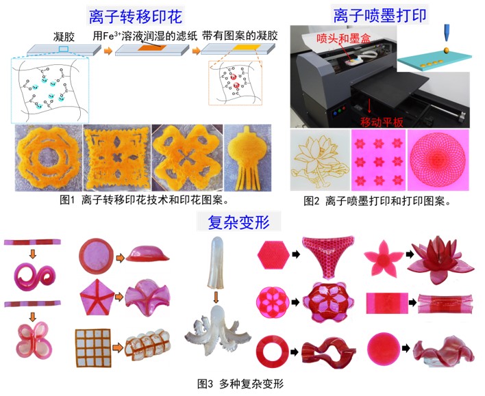 色情直播