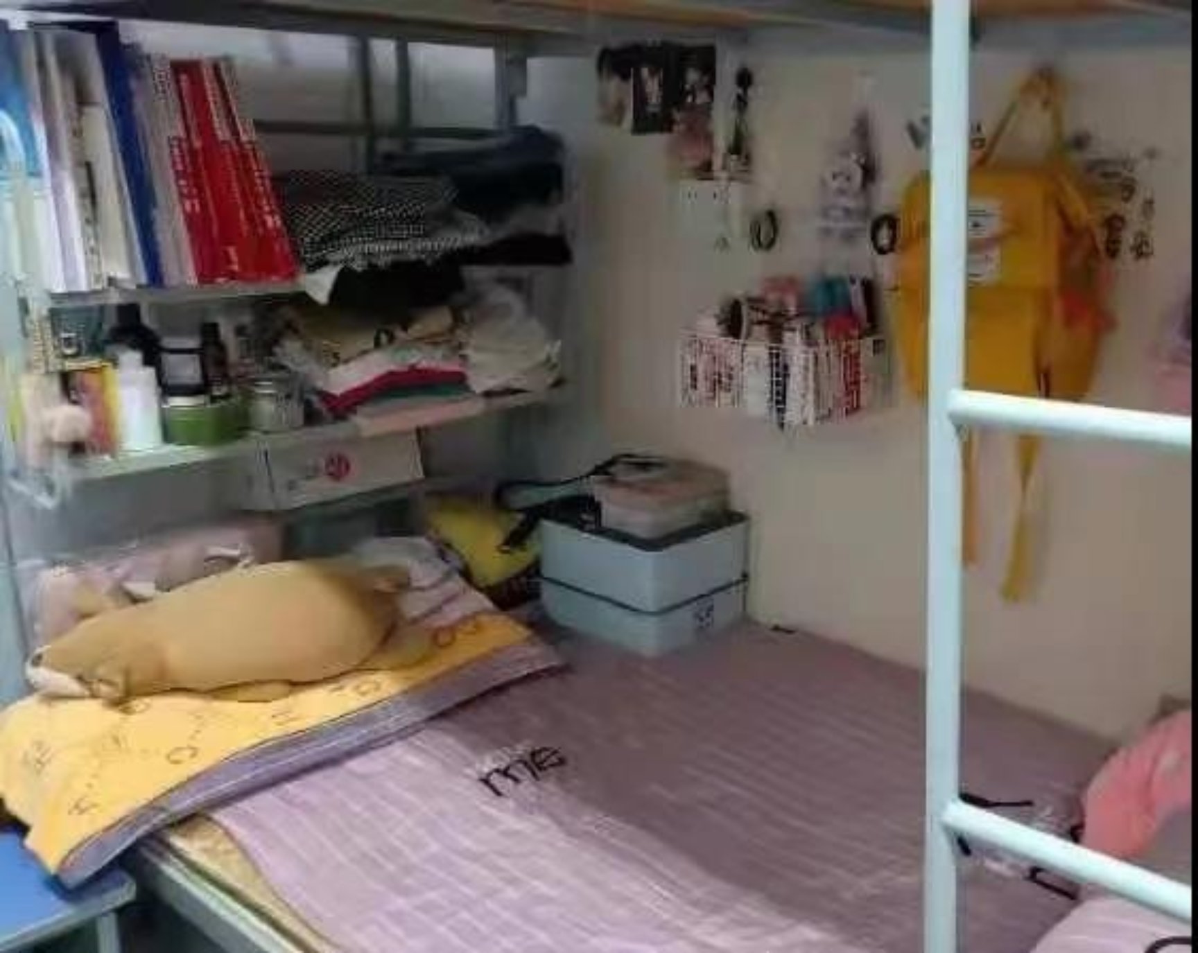 色情直播